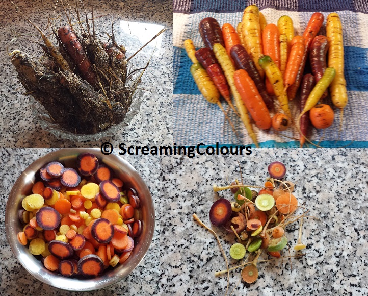 ernte-aus-erdmiete-bearbeitet