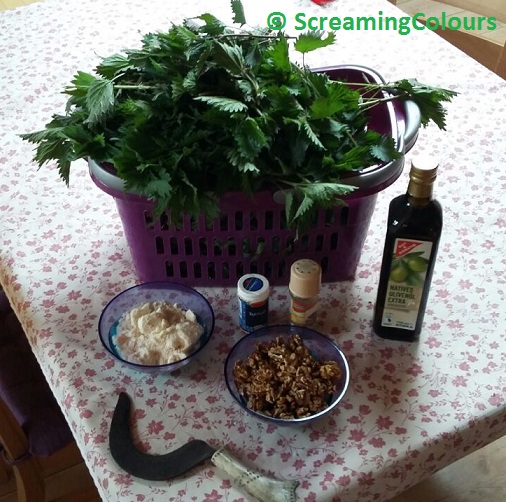 Zutaten für Brennnesselpesto