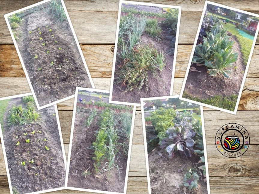 Collage Omas Garten Ende August