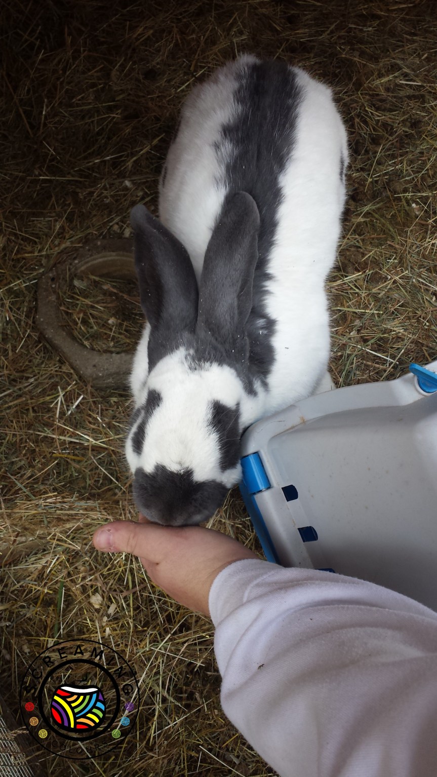 Ich hab dich so lieb