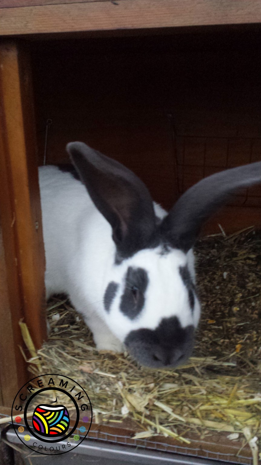 Lieblingsstücke #10