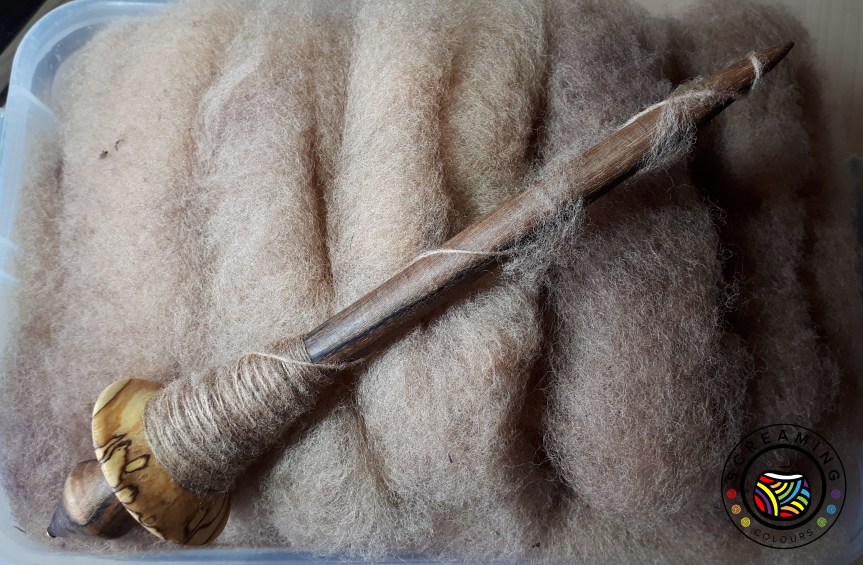 Supported Schwarzkopfschaf