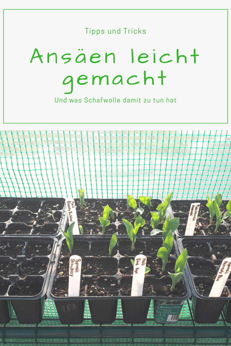 Ansäen leicht gemacht - Pinterest