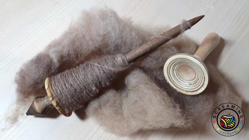 Supported Schwarzkopfschaf Zwischenbericht 1