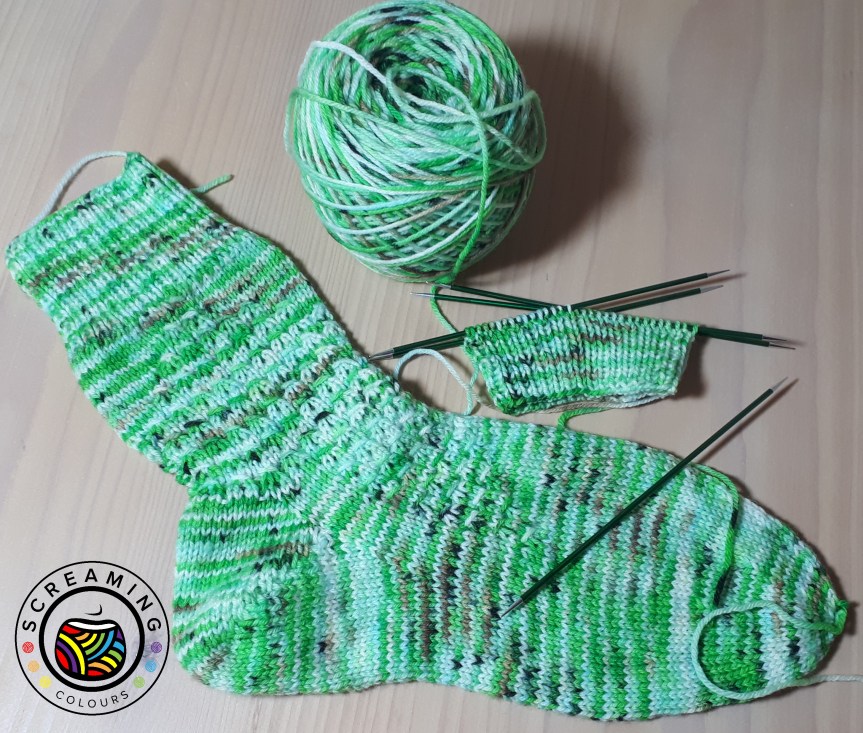 Kiwi Zwischenstand 2