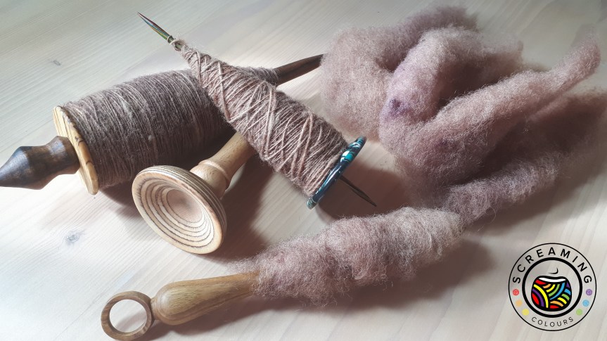 Supported Schwarzkopfschaf Zwischenbericht 4