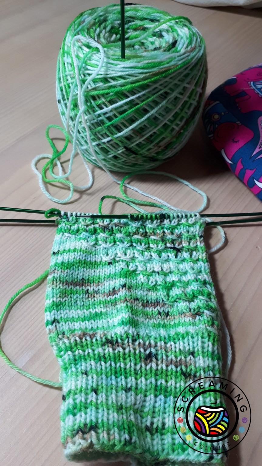 Kiwi Zwischenstand 1.1