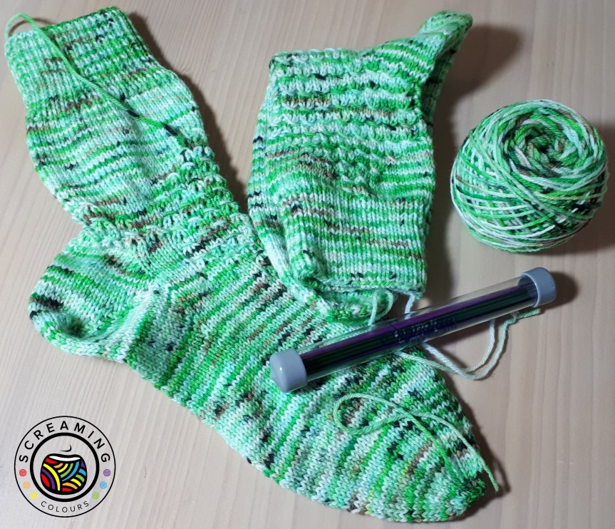 Kiwi Zwischenstand 3