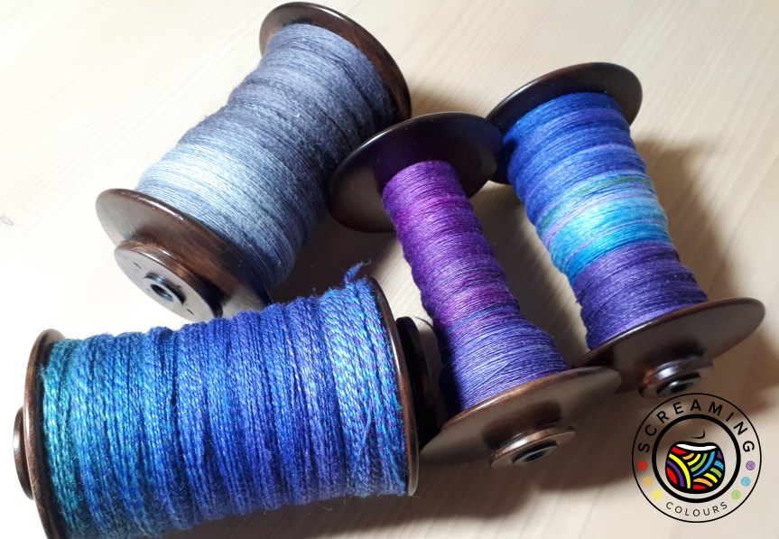 Tauchen im Riff Zwischenbericht 3