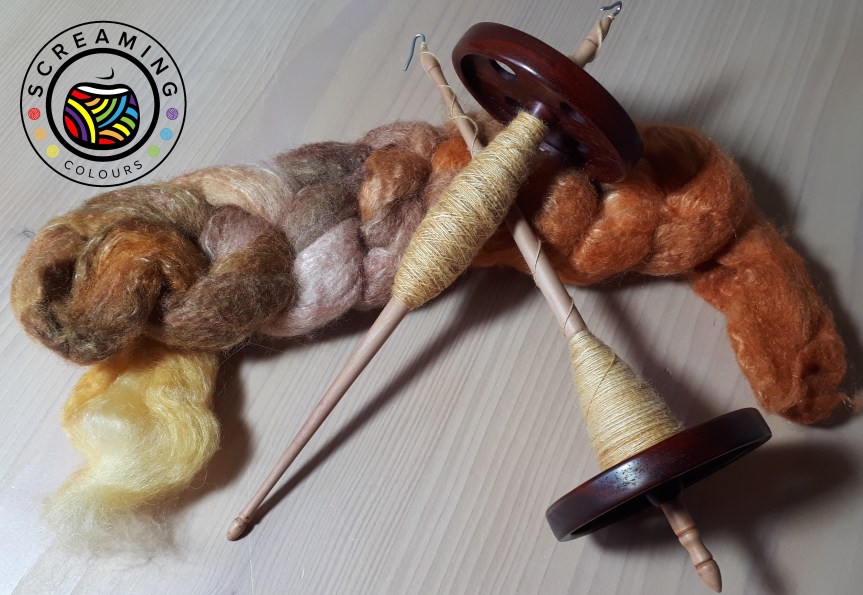 Knopfspindel Zwischenbericht 2