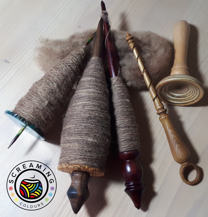 Supported Schwarzkopfschaf Zwischenbericht 7