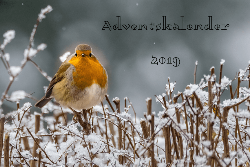 Adventskalender 2019.png