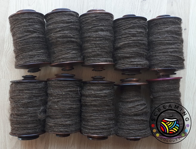 Bergschaf braun Zwischenbericht 2 klein