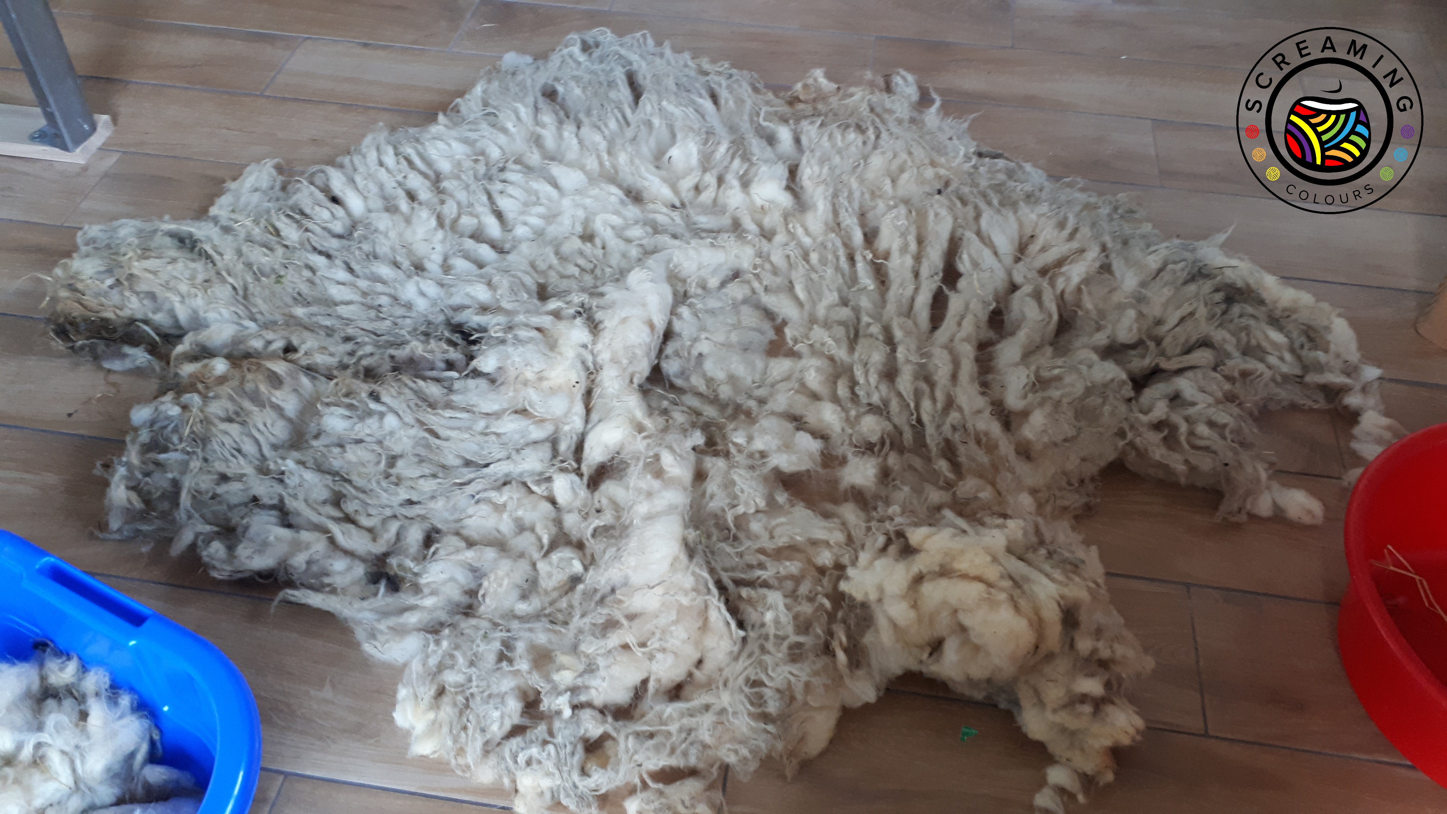 Wolle vorsortieren Oberseite