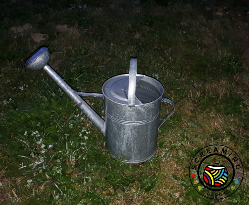 Erste Gartengestaltung nach dem&nbsp;Hausbau