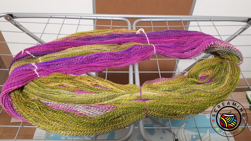 Tropical Andromeda beim trocknen