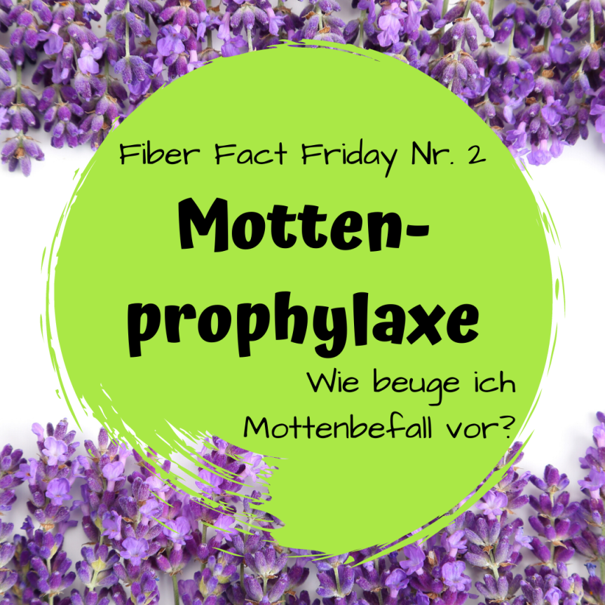 Fiber Fact Friday Nr. 2: Mottenprophylaxe – Wie beuge ich einem Mottenbefall&nbsp;vor?