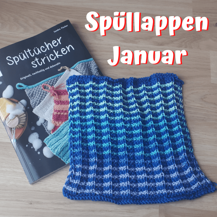 Mein Spüllappen Januar&nbsp;2021