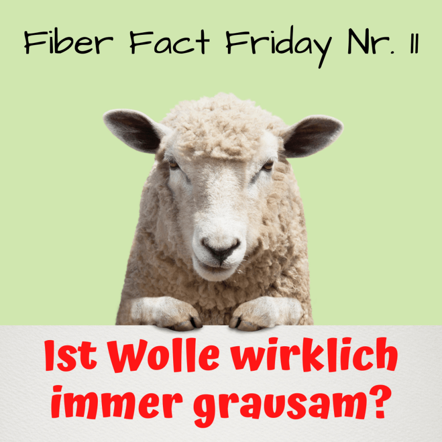 Fiber Fact Friday Nr. 11: Ist Wolle wirklich immer&nbsp;grausam?