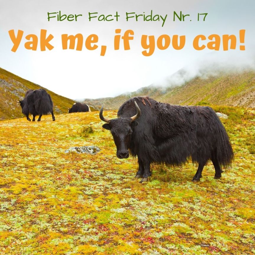 Fiber Fact Friday Nr. 17 : Yak me, if you&nbsp;can