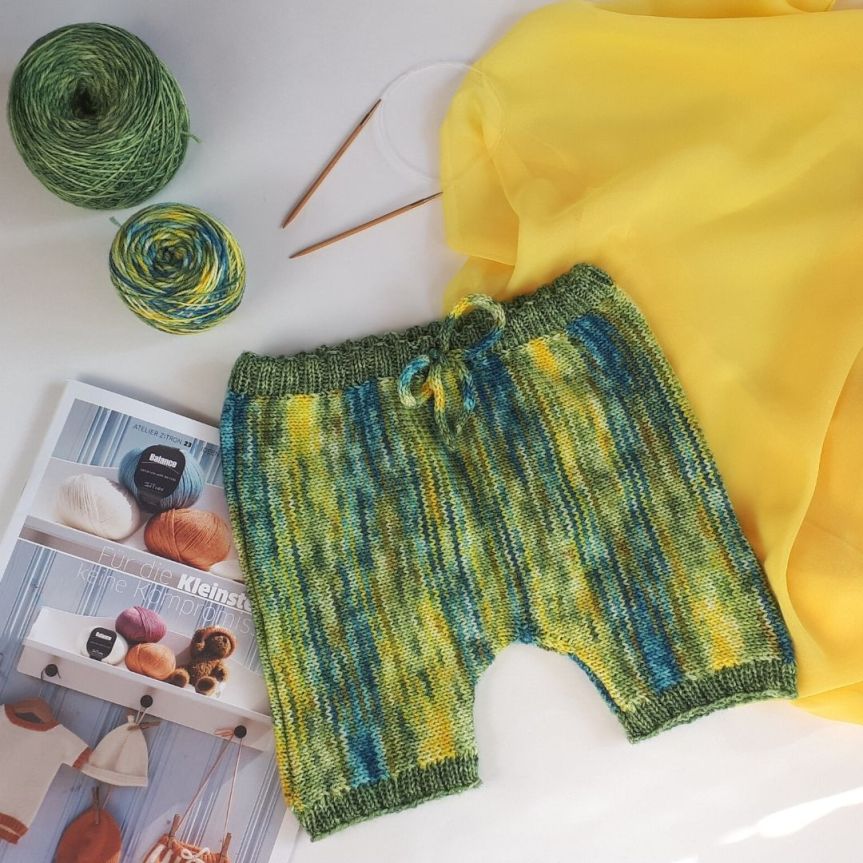 Knickerbocker Felsensittich