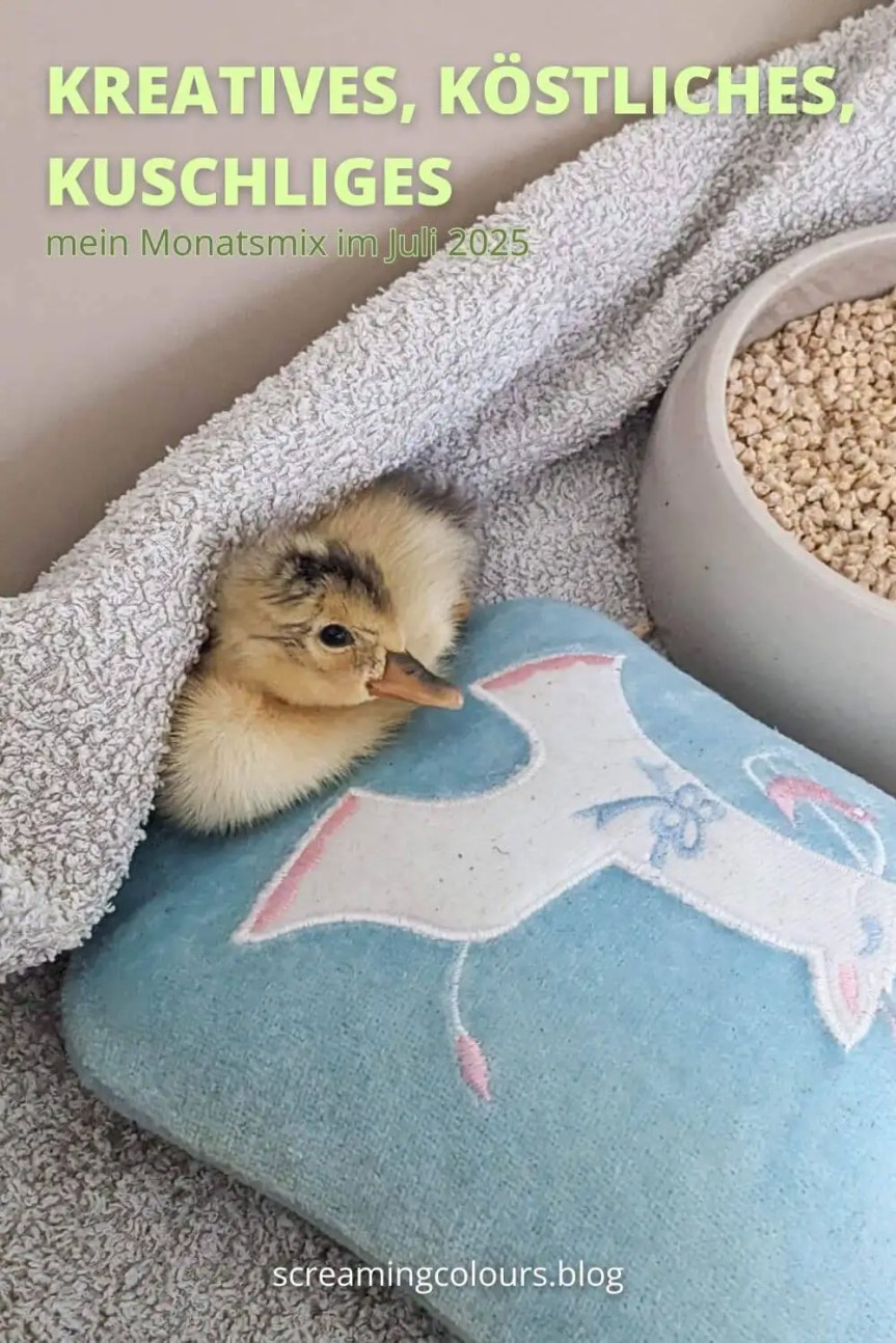 Kreatives, Köstliches, Kuscheliges – mein Monatsmix im Juli&nbsp;2025